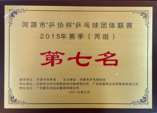 乒乓球團(tuán)體聯(lián)賽2015年賽季第七名